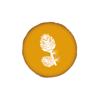 Kiefer Tischlerei Krammer